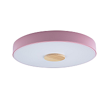 Потолочный светильник Loft IT AXEL 10003/24 Pink