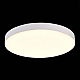 Потолочный светодиодный светильник ST Luce ST606.532.96