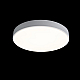 Потолочный светодиодный светильник Loft IT Axel 10002/24 white