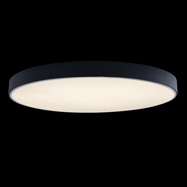 Потолочный светодиодный светильник Loft IT Axel 10002/48 black