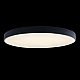 Потолочный светодиодный светильник Loft IT Axel 10002/48 black