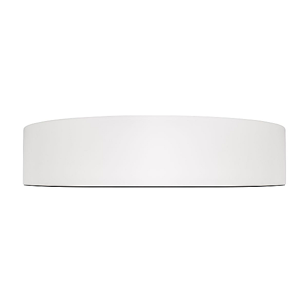 Потолочный светильник Loft it Coin 10202 WB