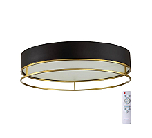 Потолочный светильник Sonex Lofty 7723/65L