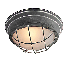 Потолочный светильник Lussole Loft GRLSP-9881