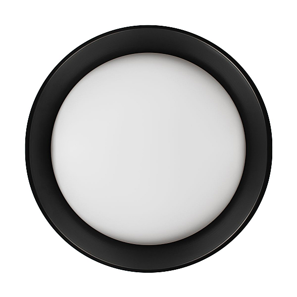 Потолочный светильник Loft it Coin 10202 BB