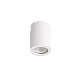 Потолочный светильник Crystal Lux CLT 422C WH