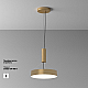 Потолочный светодиодный светильник Maytoni Zon C032CL-36W4K-RD-MG