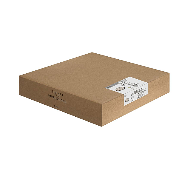 Потолочный светильник Freya Марсия / Marsia FR6220CL-L110W