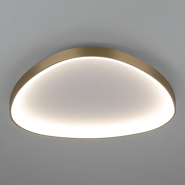 Потолочный светодиодный светильник Citilux Genka Smart CL756A162