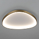 Потолочный светодиодный светильник Citilux Genka Smart CL756A162