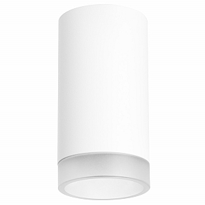 Потолочный светильник Lightstar RULLO R43630 (214436+202430)