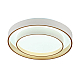 Потолочный светодиодный светильник MyFar Ceiling Rhea MR9161-CL