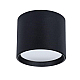 Потолочный светильник Arte Lamp Intercrus A5548PL-1BK