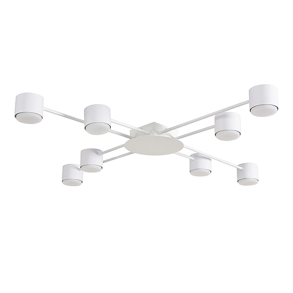 Светильник потолочный Lumion BENUA 8305/8C