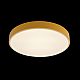 Потолочный светодиодный светильник Loft IT Axel 10002/24 yellow