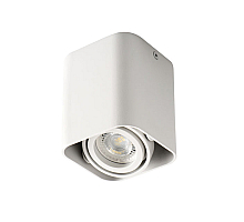 Потолочный светильник Kanlux Toleo DTL50-W 26114