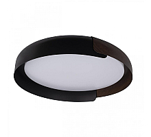 Потолочный светильник Loft IT Coin 10198 Black