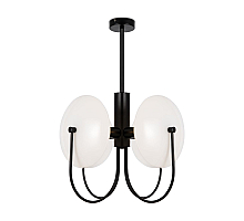 Потолочный светильник Freya Ellipse FR5320PL-04B