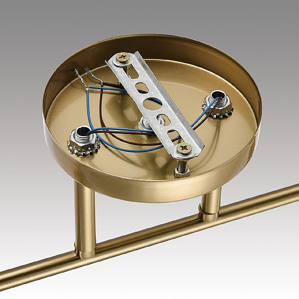 Потолочная люстра Lumion Comfi Vivian 8188/2C