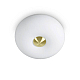 Потолочный светильник Ideal Lux Arizona PL2 214498