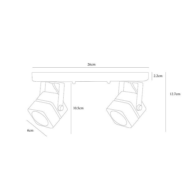 Потолочный светильник Arte Lamp A1315PL-2BK