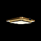Потолочный светодиодный светильник Loft It Mike 10171