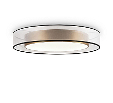 Потолочный светильник Freya Zoticus FR6005CL-L48G