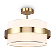 Потолочный светильник Freya Bride FR5367CL-03BS