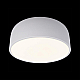 Потолочный светодиодный светильник Loft IT Axel 10201/350 White
