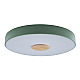 Потолочный светодиодный светильник Loft IT Axel 10003/24 green