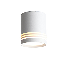 Потолочный светодиодный светильник ST Luce Cerione ST101.542.05
