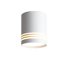 Потолочный светодиодный светильник ST Luce Cerione ST101.542.05