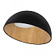 Потолочный светодиодный светильник Loft IT Egg 10197/500 Black