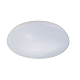 Потолочный светильник Escada 10213/SG LED