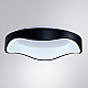 Потолочный светодиодный светильник Arte Lamp Ankaa A3085PL-48BK