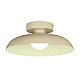 Потолочный светильник Myfar Bjorn MR2674-1CL