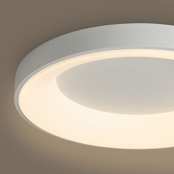 Потолочный светильник Freya Соответствие / Fit FR6157CL-L65W