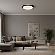 Светильник Loft It Sweety 10454/500 Black