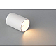 Светильник потолочный Crystal Lux CLT 084C WH
