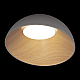 Потолочный светодиодный светильник Loft IT Egg 10197/500 Grey
