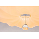 Потолочный светодиодный светильник Escada 10231/S LED