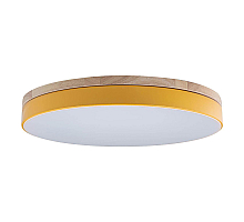 Потолочный светильник Loft IT AXEL 10001/36 Yellow