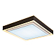 Потолочный светодиодный светильник iLedex Summery B6233-117W/520*520 WH