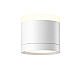 Потолочный светильник Maytoni Technical C120CL-GX53-W