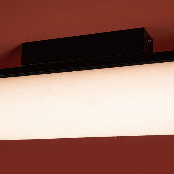 Потолочный светильник Freya Modern Even FR5625CL-L20B