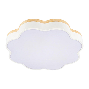 Потолочный светильник Loft IT Axel 10225/36 White