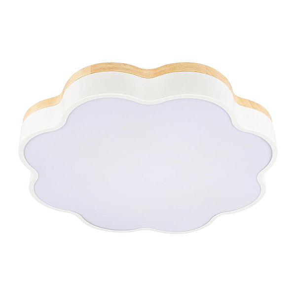 Потолочный светодиодный светильник Loft IT Axel 10225/36 White