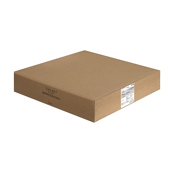 Потолочный светильник Freya Сприда / Sprida FR6129CL-L80W