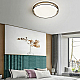 Потолочный светильник ImperiumLoft Vedum 179852-26