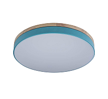 Потолочный светильник Loft IT AXEL 10001/36 Blue